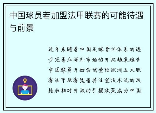 中国球员若加盟法甲联赛的可能待遇与前景